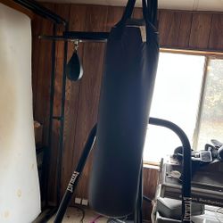 Punching Bag