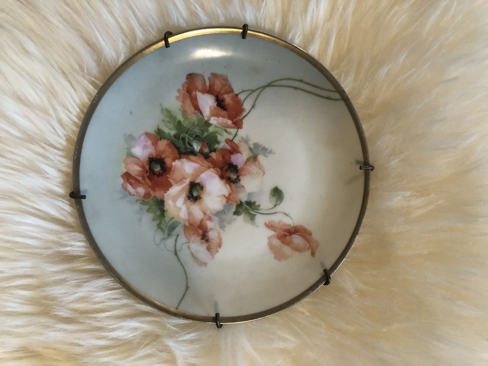 Z.s. & Co Bavaria Royal Munich 8 Inch Plate With Roses