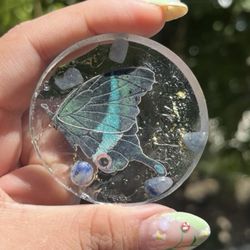 Butterfly Magnet 🦋 