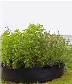 100 Gallon Aeration Raised Bed Planter