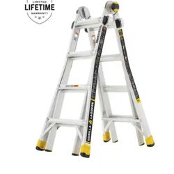 Gorilla Ladder