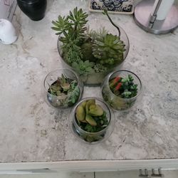Faux Succulent Plants In Glass
