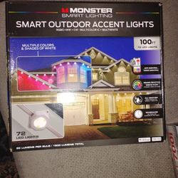 Smart Outdoor Lights 