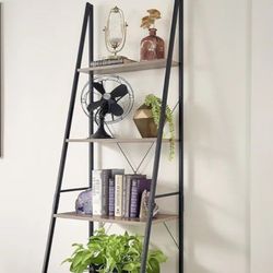 Ladder Plant Display, Bookcase Shelf