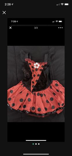 Ladybug Costume - Child’s Small 4-6