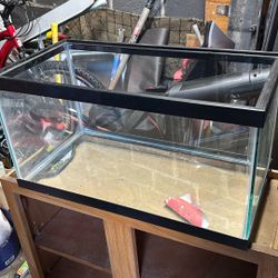 Fish Tank 