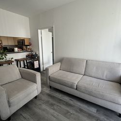 Modern Comfy Gray Couch & Chair