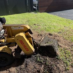 🌳 STUMP GRINDING 🪵