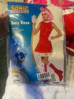 Sonic the Hedgehog’s Amy Rose