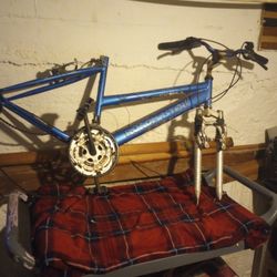 Roadmaster Bike Frame