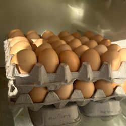 Farm Eggs $5 Dozen Huevos De Granja