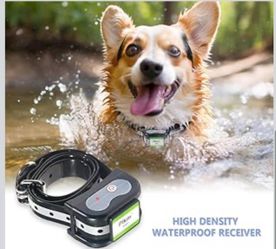 Dog training collar