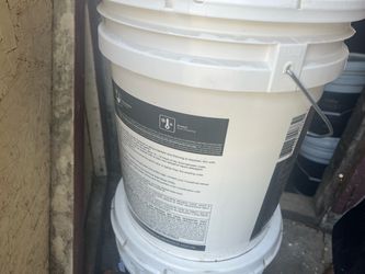 Dynasty 5 gallon white paint