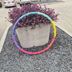 Large Hula Hoop