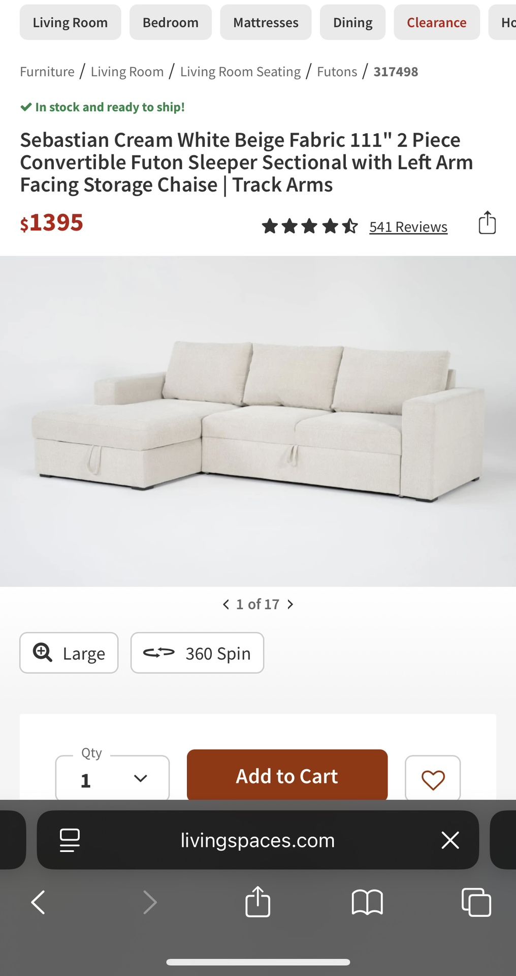 Sleeper Sofa