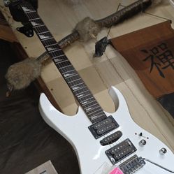 Electric Guitar 