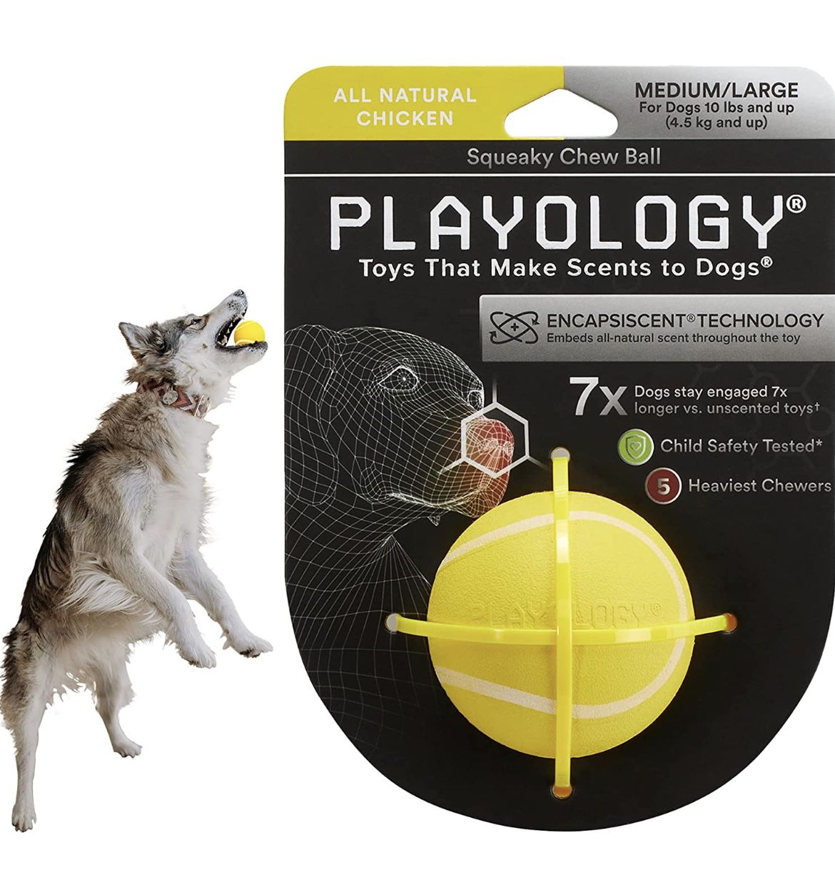 Squeaky Dog Toy - Engaging All-Natural Scented Dog Toys for Small, Medium & Large Dogs - Interactive & Tough Non-Toxic Chew Toys