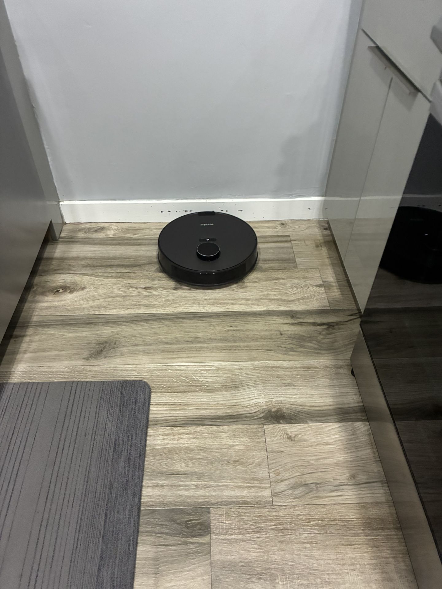 Eureka Robot Vacuum + Self Empty Base — Excellent Condition