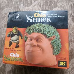 Chia Shrek Handmade Decorative Planter Chia Pet