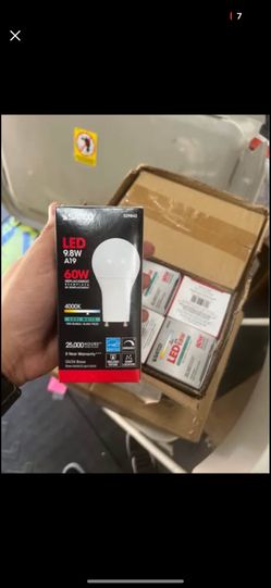 SatcoLED bulb A19 entrance (BY CASE)