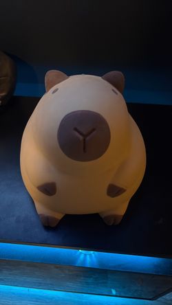 Mega jumbo capybara squishy!!!