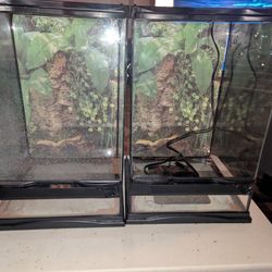 Terrarium Tanks 12"x12"x18"H
