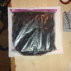 Huckleberries