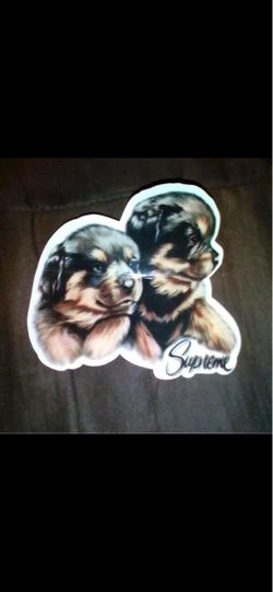 New puppies, Supreme sticker sold out