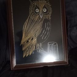 Owl Picture