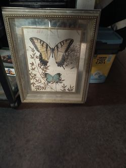 Designer Butterfly Wall Art