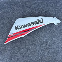 22 KAWASAKI NINJA 650 LOWER COWLING FAIRING RH RIGHT SIDE FAIRING EX650 OEM 55028 0599
