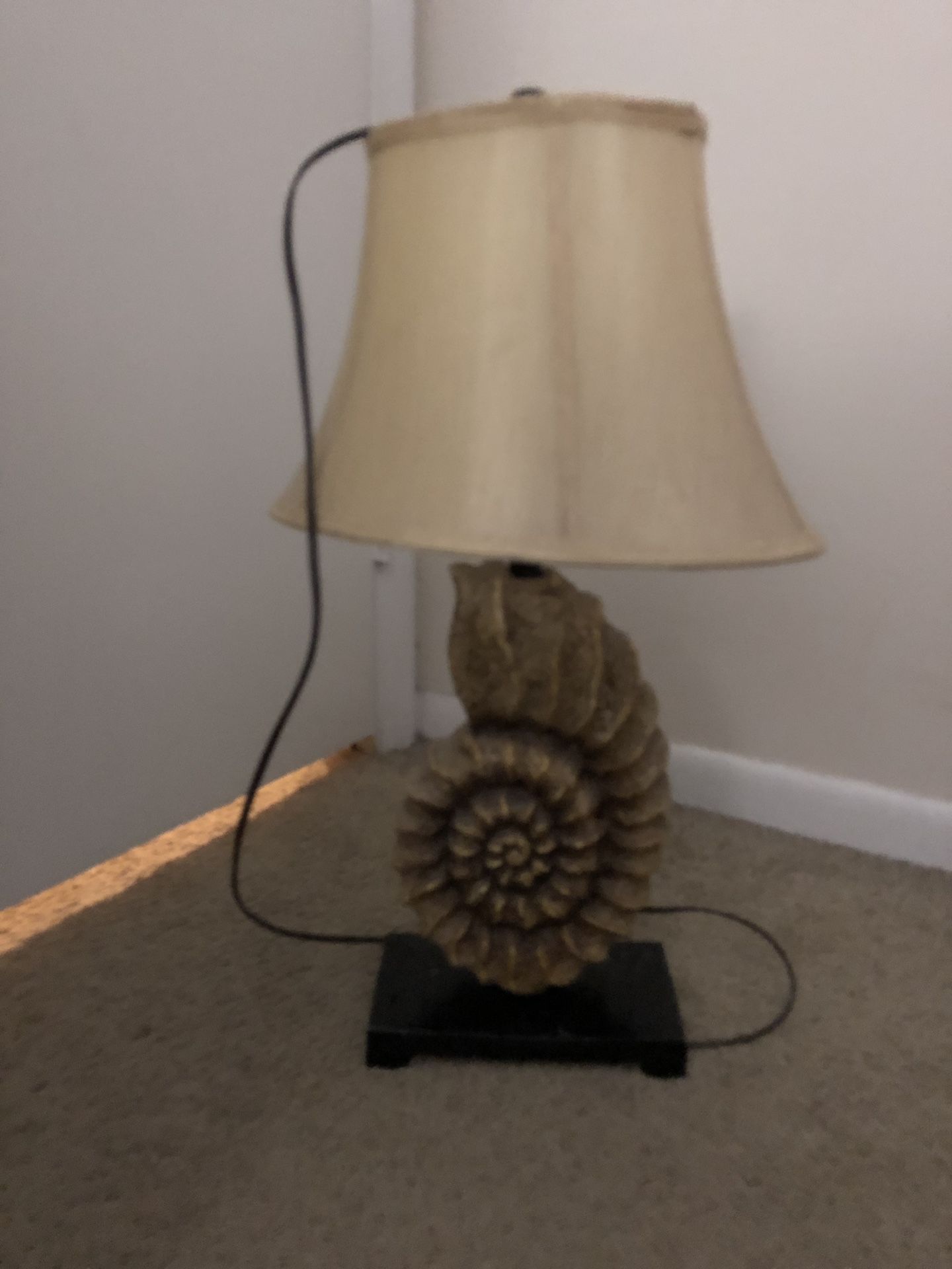 sea shell lamp