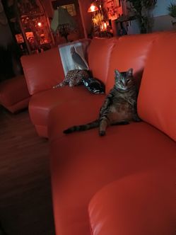 4pc. Orange sectional, great condition