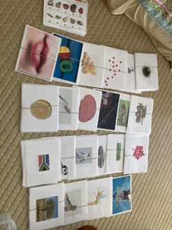 Montessori Right Brain Activity Cards - Great Condition