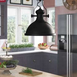 Pawel 1 - Light Single Dome Pendant in black. 15.75'' H X 12.5'' W X 12.5'' D. MSRP $155. Our price $85 + sales tax 