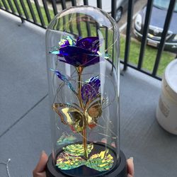 Flower In Glass Container 