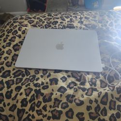 Brand New Apple 2025