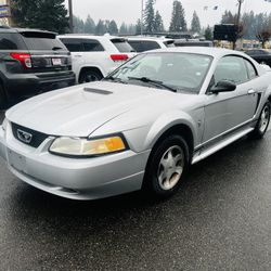 2000 Ford Mustang