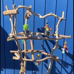Large Parrot / Macaw Perch Tree - A HUGE TREE, Lots Of Fun And A Great Socializer For Mr Feathers ! 