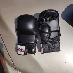 Florian Professional MMA Gloves $10