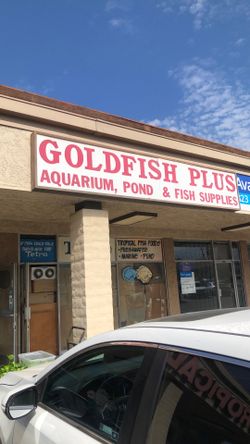 Store will be closed on 7/31/26