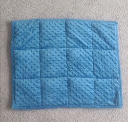 5lb Weighted Blanket for Kids (Blue) 19x22 Inch, Plush Minky Weighted Lap Pad