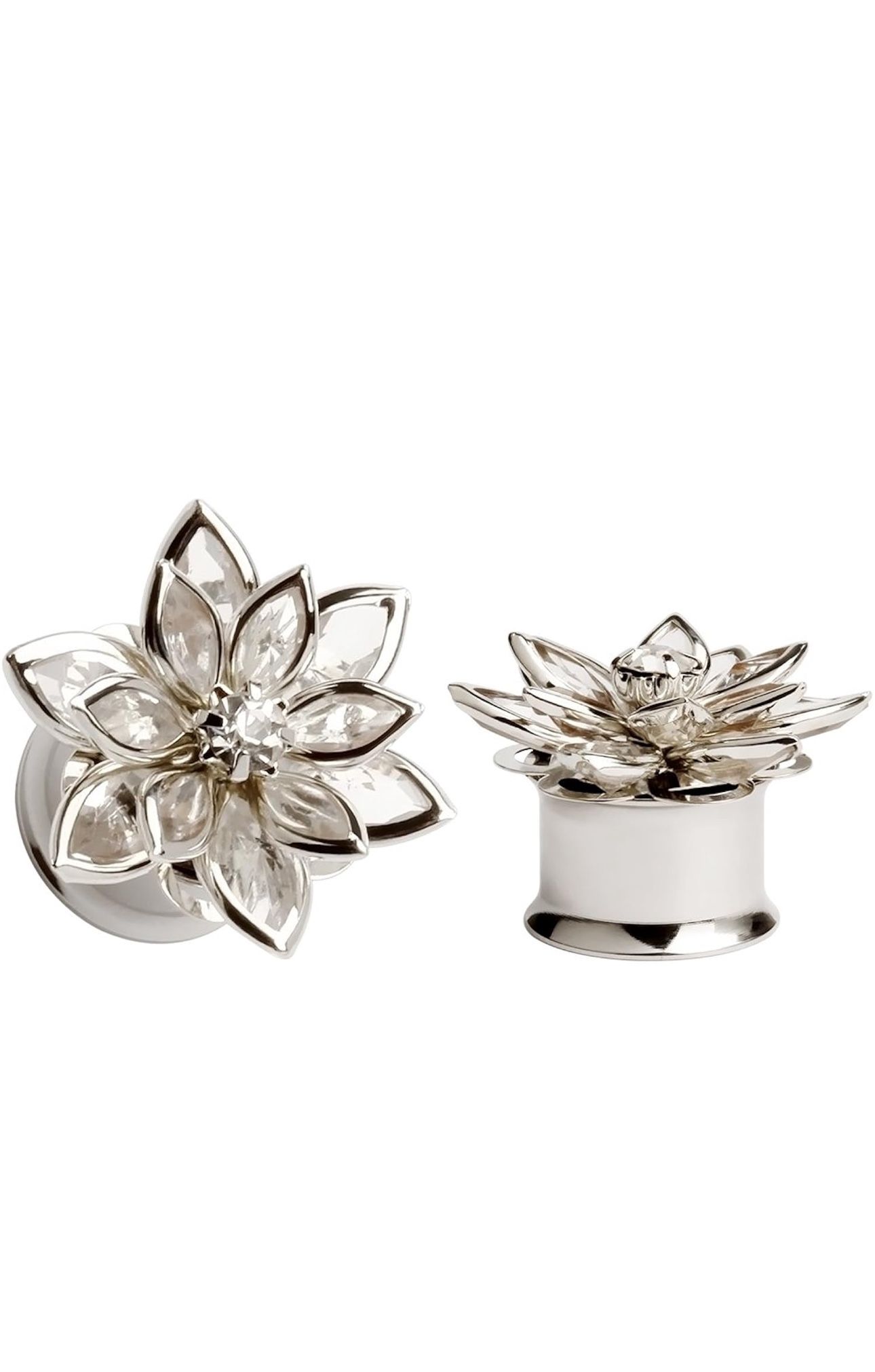 Gauges Earrings 