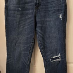 Relaxed Fit Judy Blue Dark Wash Jeans (EUC)