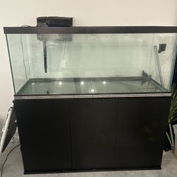 Fish Tank 75 Gallons With A 95 Gallon Filter And With Fish Tank Table .