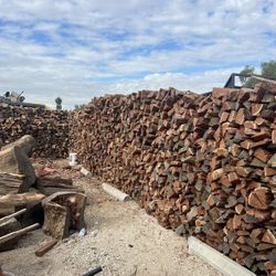 Eucalyptus firewood