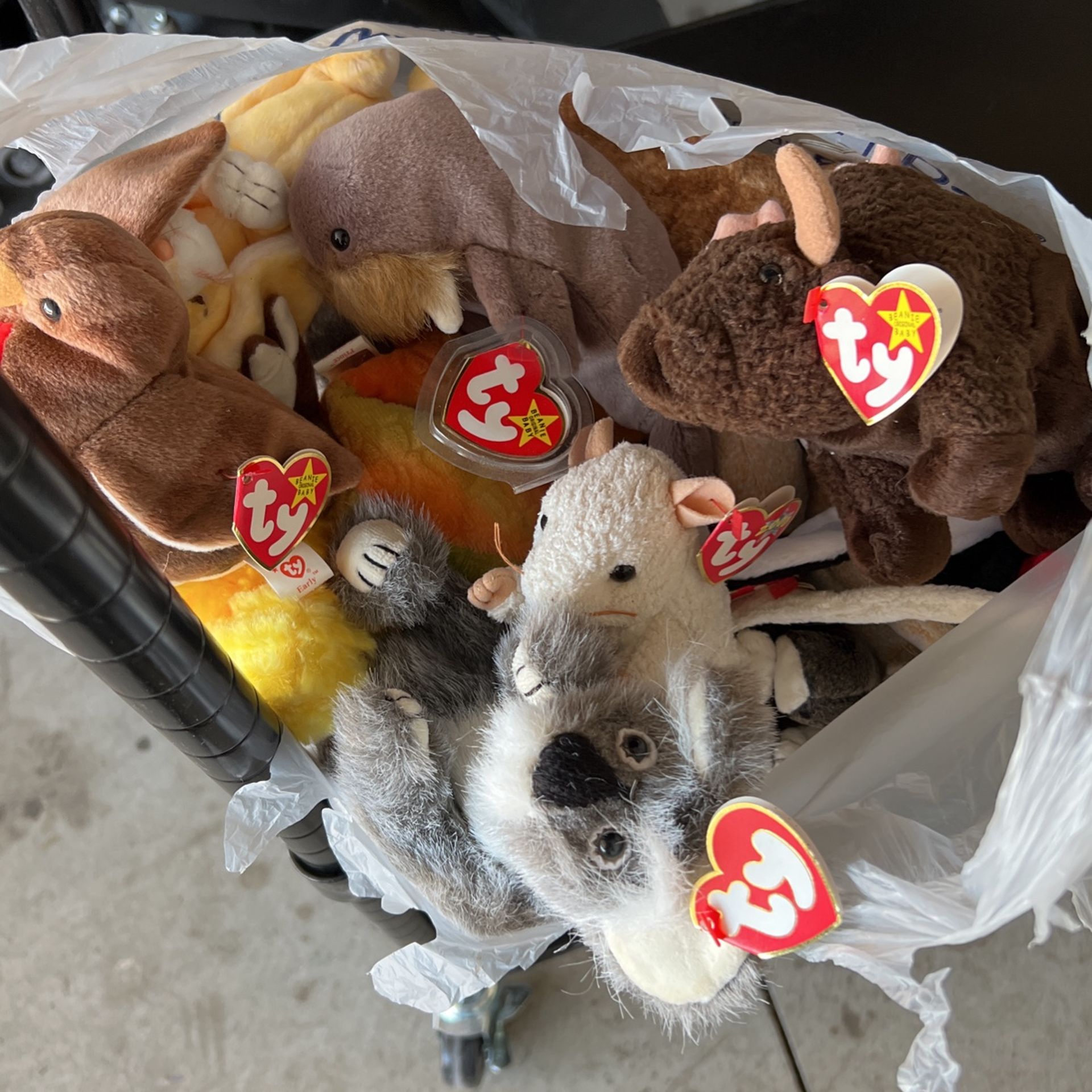 Antique Beanie Babies Ages Of Animals Start @ 1991