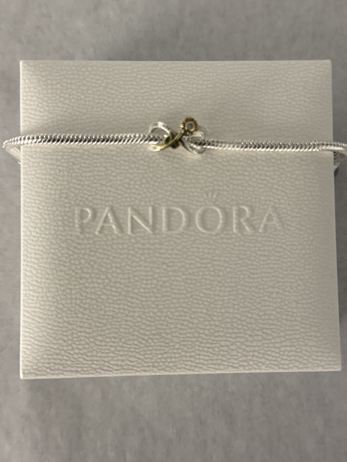 Pandora - Charms