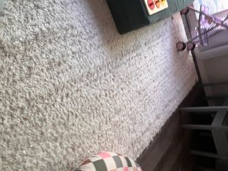Area Rug