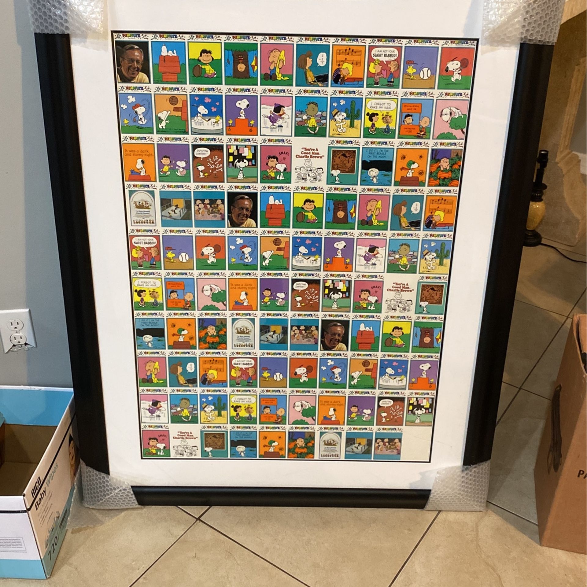 Charlie Brown Poster